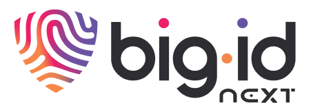 bigid logo.png